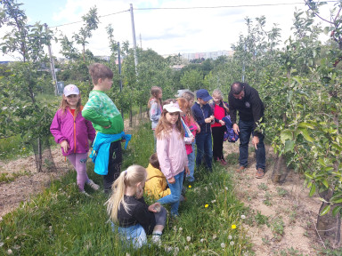 Exkurze Sady St. Lískovec