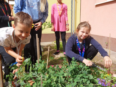 Staráme se o zahrádku