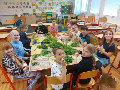 Jedlá zahrada v družce